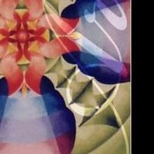 PFAA Gallery Presents THE MATURE EYE 2/27-4/4